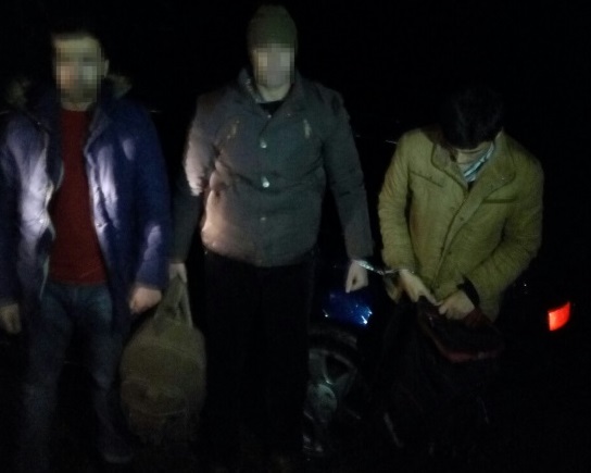 Четверо нелегалів потрапили в ДТП, не доїхавши до кордону з Угорщиною (ФОТО)