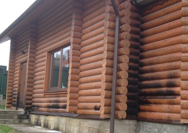 Жінці, що заступилися за сосновий ліс в Оноківцях, намагалися спалити будинок (ФОТО)