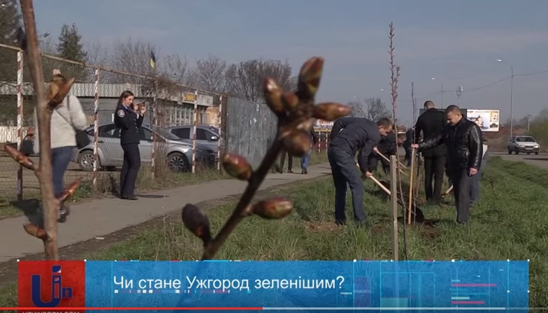 Цьогоріч в Ужгороді висадили акації, катальпи, верби, декоративний мигдаль і троянди. 500 дерев, 900 кущів (ВІДЕО)