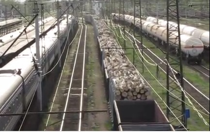 Потяг з "дровами", затриманий в Чопі активістами, відправили розвантажувати в Мукачево
