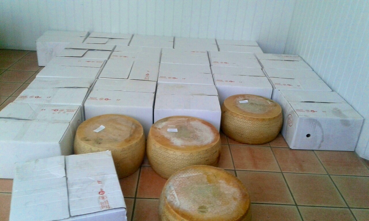 Майже 60 кг макаронів та 948 кг сиру українець "залишив" Закарпатській митниці (ФОТО) 