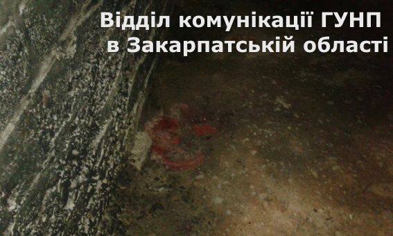 На Виноградівщині чоловік через неприязнь підпалив хату односельцеві (ФОТО)