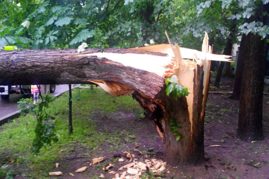 Уночі негода на Тячівщині повалила 16 дерев (ФОТО)