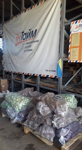 З Закарпаття на фронт відправили понад півтони овочів (ФОТО)