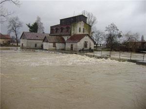 В Іршавському та Тячівському районах через сильні зливи з градом підтоплено понад 150 дворогосподарств