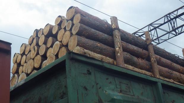 Лісгоспи Львівщини подали позов до суду на Закарпатську митницю через зупинку вагонів з деревиною