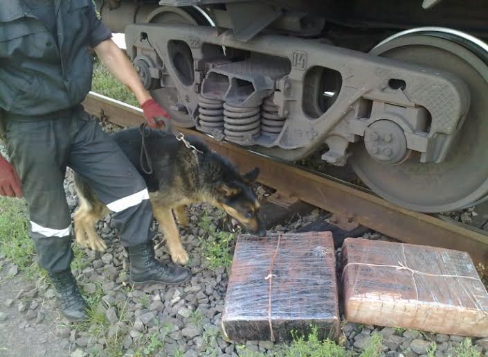 На Закарпатті у вагонах з рудою чотирилапий охоронець кордону "винюхав" контрабандний тютюн (ФОТО)