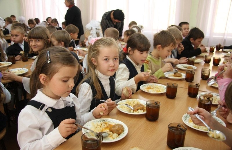 Два підприємці підробили документи для участі у закупівлі харчування для школярів Іршавщини на 1 млн грн