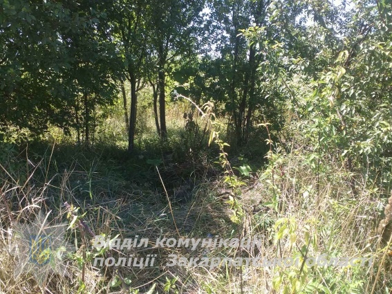 На Виноградівщині, збираючи лікарські трави, пенсіонер упав у 10-метровий колодязь і загинув 