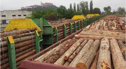 Держлісагенство звинуватило митників і Москаля у збитках державі на 15 млн грн через затримку вагонів з деревиною на Закарпатті