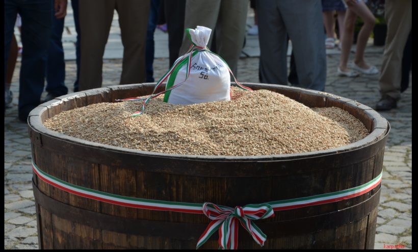 У Великій Доброні зібрали зерно для Хліба угорців, що посилює національну свідомість (ФОТО)