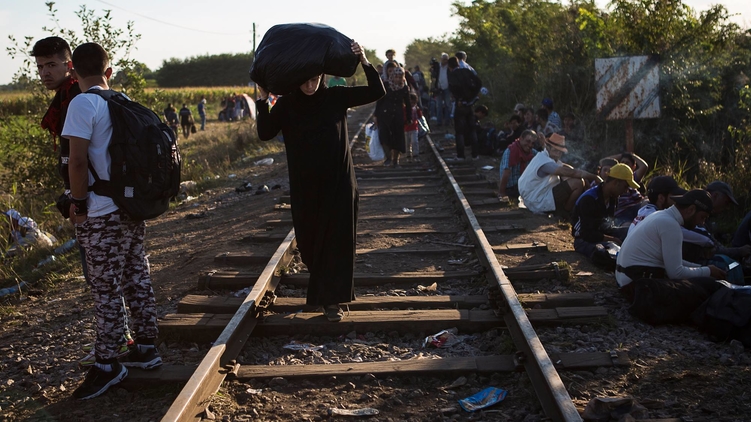 Угорщина формує загони мисливців на мігрантів на кордоні з Україною (ФОТО)