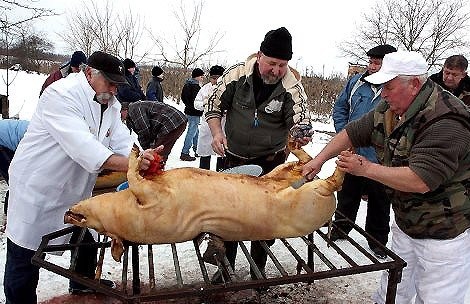 Фестивалю різників-гентешів у Гечі на Закарпатті цьогоріч не буде через африканську чуму свиней (ДОКУМЕНТ)