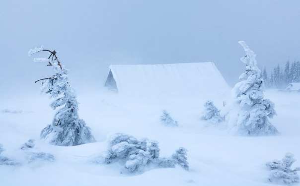 Закарпаття – в полоні снігу, краян просять подбати про заходи безпеки