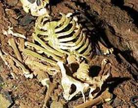 Біля села Брід на Іршавщині знайшли скелет людини