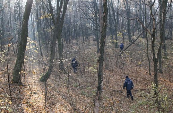 На Мукачівщині з вечора неділі шукають двох дітей, що пішли до лісу й не повернулися