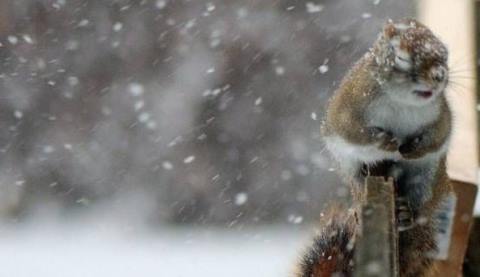 У ніч проти 13 грудня та вранці середи на Закарпатті прогнозують сильні дощі, в горах місцями з переходом у сніг