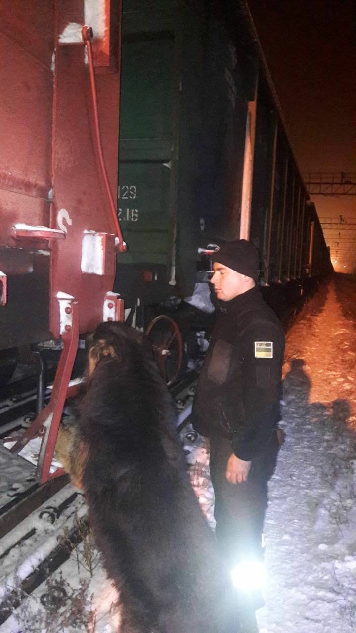 На Закарпатті  у вантажному потягу на Угорщину службовий собака виявив 4750 пачок контрабандних сигарет (ФОТО)