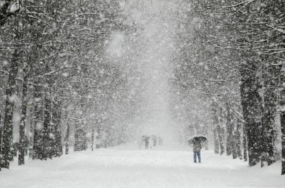 Із вечора суботи, впродовж ночі та зранку неділі на Закарпатті чекають сильний сніг