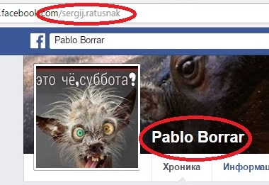 Ратушняк перелякався звинувачень в сепаратизмі і став фейсбучним Pablo-"чупакаброю" (СКРІНИ)