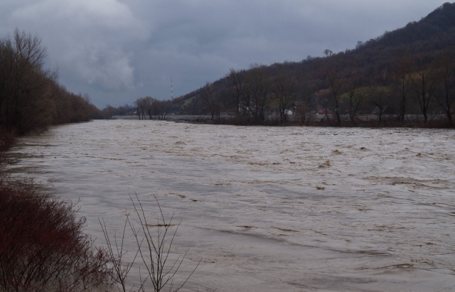 У Тисі паводкова хвиля, яка вчора пройшла на територію Угорщини, знову повернулася на Закарпаття