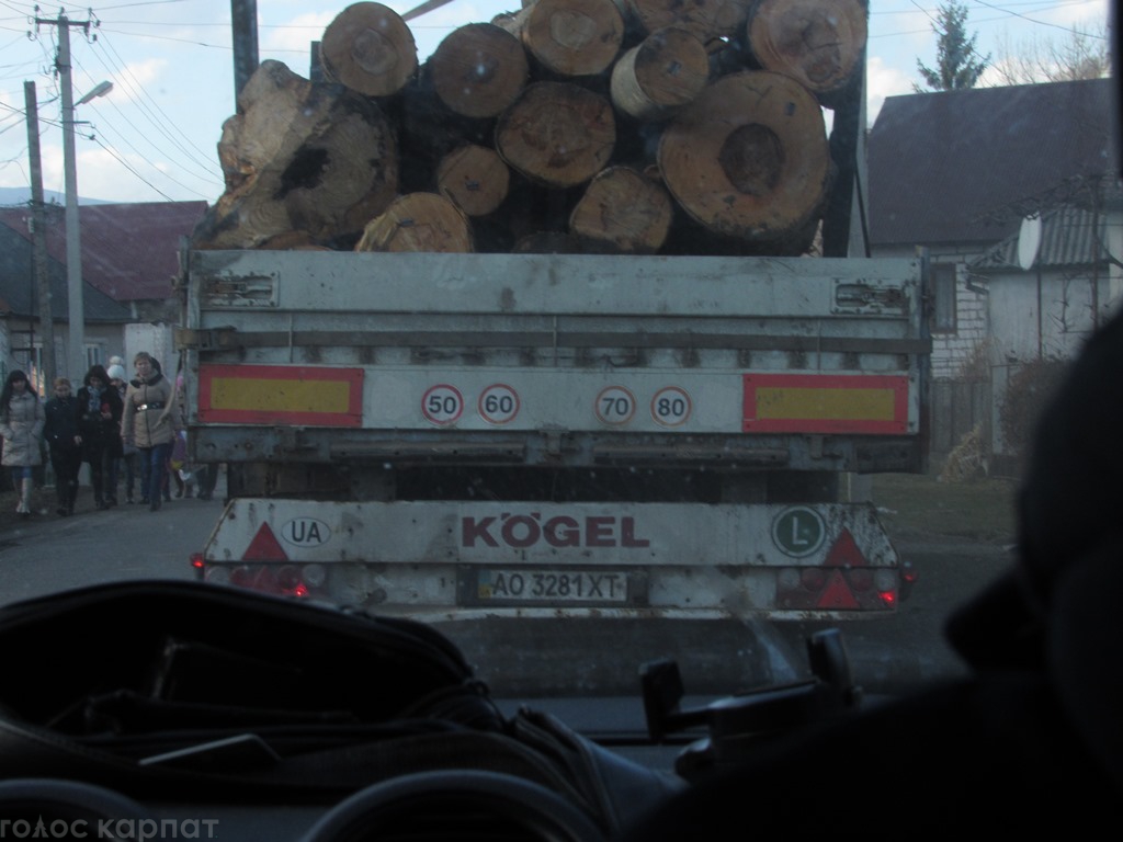 Головний лісівник Свалявщини вважає вибіркову вирубку кращих дубів і буків у Стройному "прохідною рубкою" (ДОКУМЕНТИ) (ФОТО)