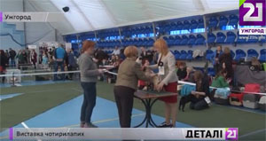 У дводенній виставці собак в Ужгороді взяли участь майже 400 чотирилапих (ФОТО)