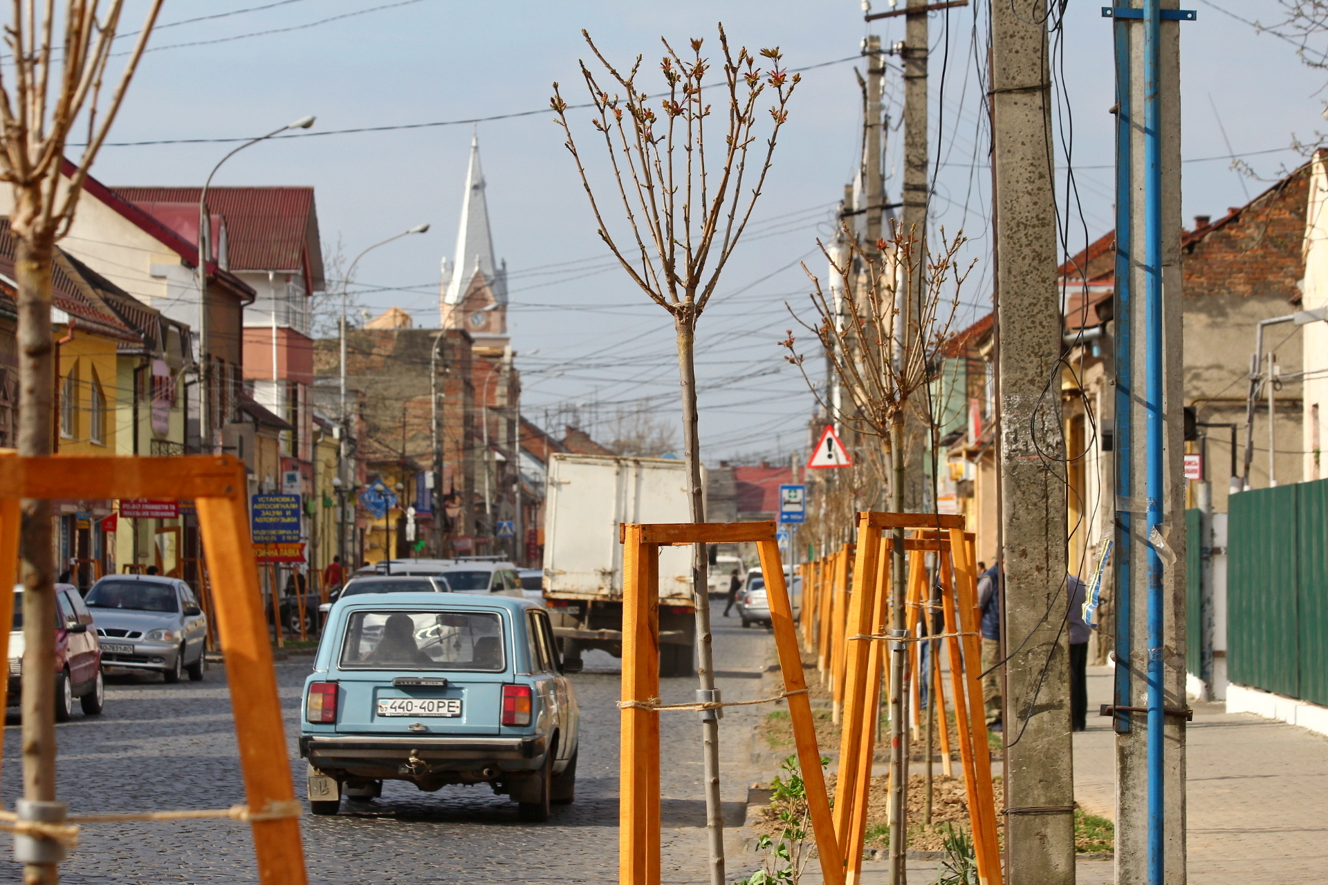 У Мукачеві висадили кленову алею з півтори сотні дерев (ФОТО)