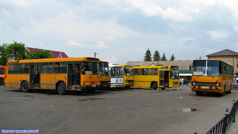 В Ужгороді відкриють дві додаткові автостанції