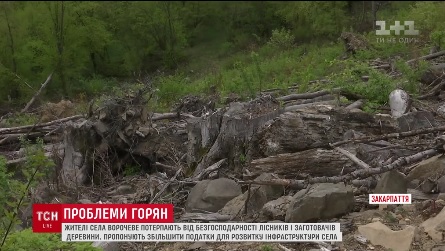 Жителі закарпатського Ворочева потерпають від нещадної вирубки лісів - ТСН (ВІДЕО)