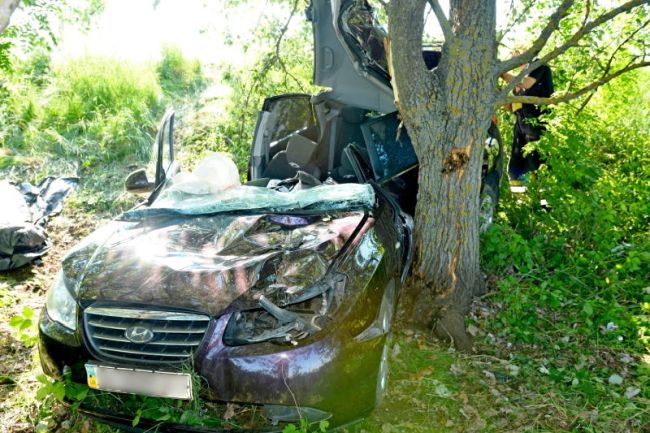 Неподалік угорської Кішварди, врізавшись на авто в дерево, загинула 39-річна мукачівка (ФОТО, ВІДЕО)