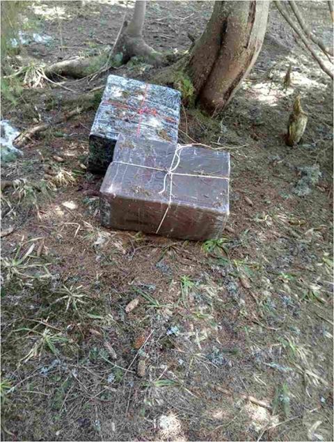 На Закарпатті знайшли приховані в лісі поблизу кордону сигаретні пакунки (ФОТО)