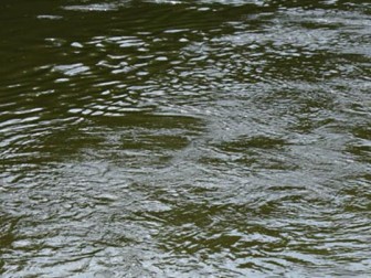 На Ужгородщині в Сторожниці, не впоравшись із течією, в річці потонув семикласник