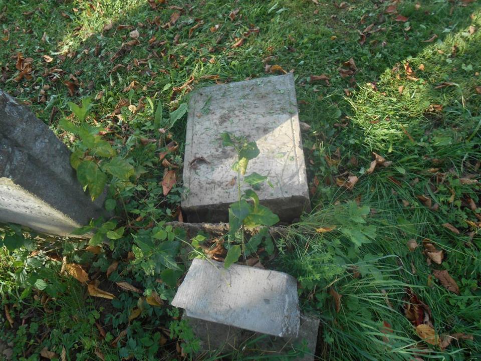У Сваляві діти заради розваги повалили на цвинтарі могильні надгробки (ФОТО)