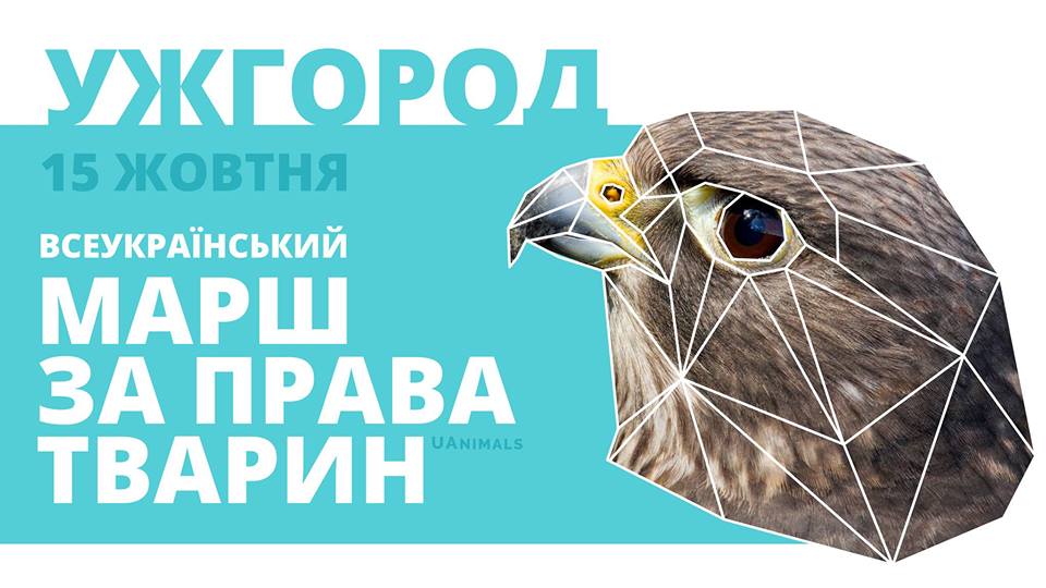 В Ужгороді, солідарно з іншими містами України, відбудеться марш за права тварин