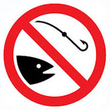 На Закарпатті з 10 вересня розпочинається заборона на вилов риби