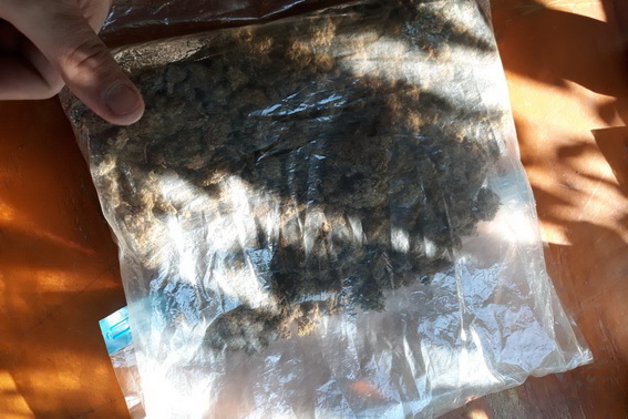 У гаражі мешканця приужгородського Минаю знайшли 1 кг марихуани та 3 пакунки з  галюциногенними грибами (ФОТО)