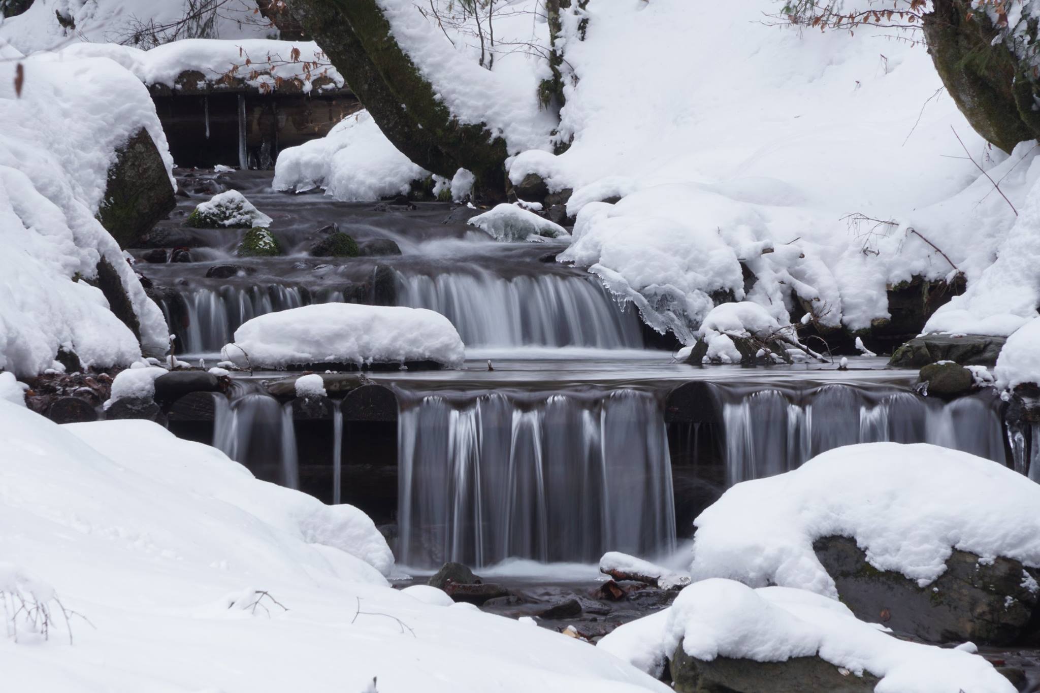 Зима "уповільнює" кригою водоспад Шипіт на Міжгірщині (ФОТО, ВІДЕО)