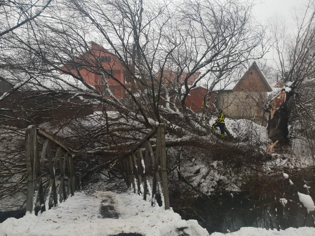 У Хусті повалене дерево зруйнувало пішохідний міст (ФОТО)