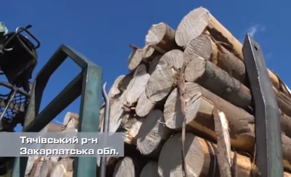 Журналісти ТРК "Україна" розповіли про лісову мафію на Закарпатті і її "випадковий" зв'язок з Москалем (ВІДЕО)