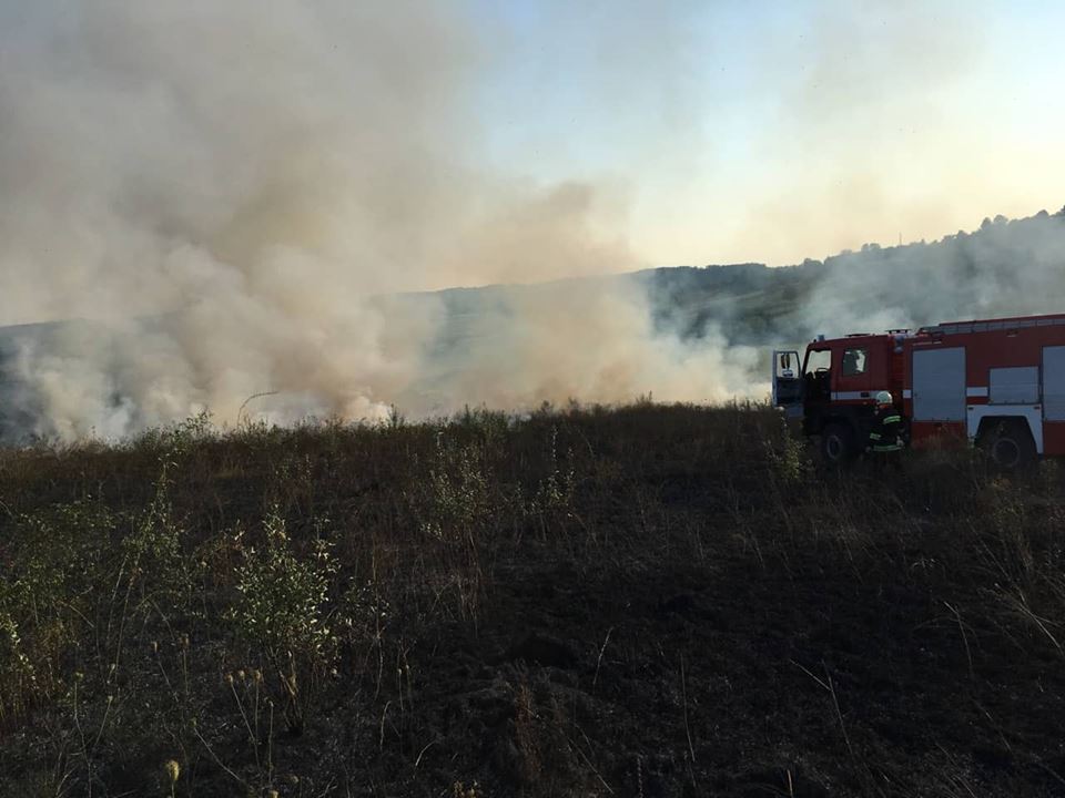 40 пожеж в екосистемах Закарпаття виникло впродовж минулих вихідних (ФОТО)