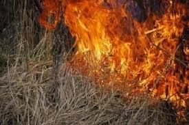 У Перечині, спалюючи суху траву, загинула літня жінка, впавши непритомною у вогонь