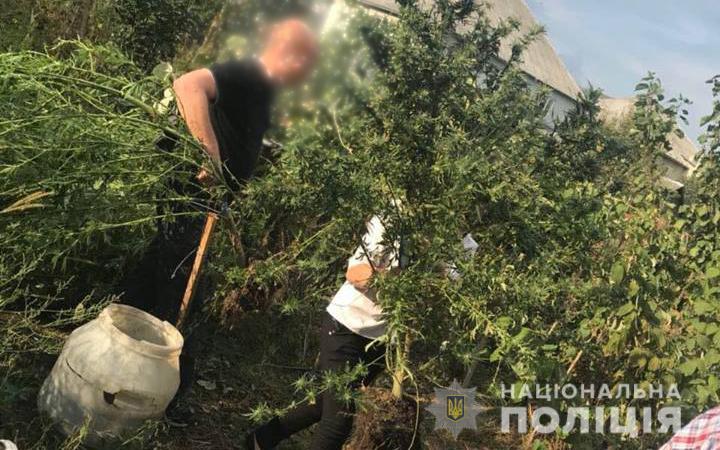 У ході обшуку будинку у Сваляві знайшли 2,5 кг марихуани, 800 г насіння конопель і патрони (ФОТО)