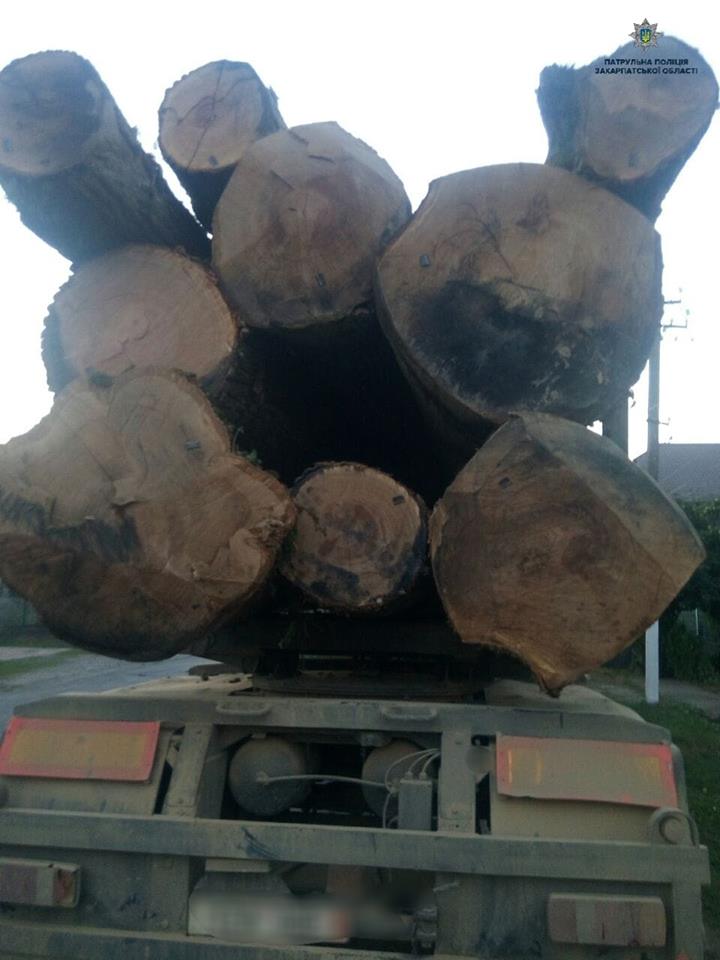 На Мукачівщині зупинили КАМаЗ, що перевозив "підозрілу" деревину (ФОТО)