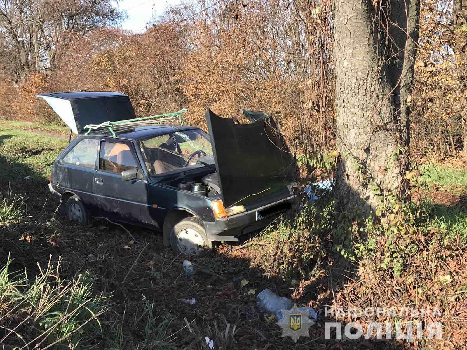 ДТП на Мукачівщині, в якій загинув водій, сталася під час обгону – поліція (ФОТО)