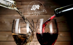 Фестиваль виноградарів-виноробів "Угочанська лоза" відбудеться на Виноградівщині у травні