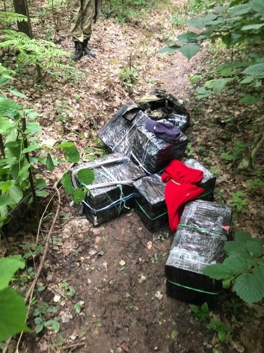 У лісі на Закарпатті, неподалік кордону з Румунією знайшли 7 пакунків сигарет, покинутих контрабандистами під час втечі (ФОТО) 