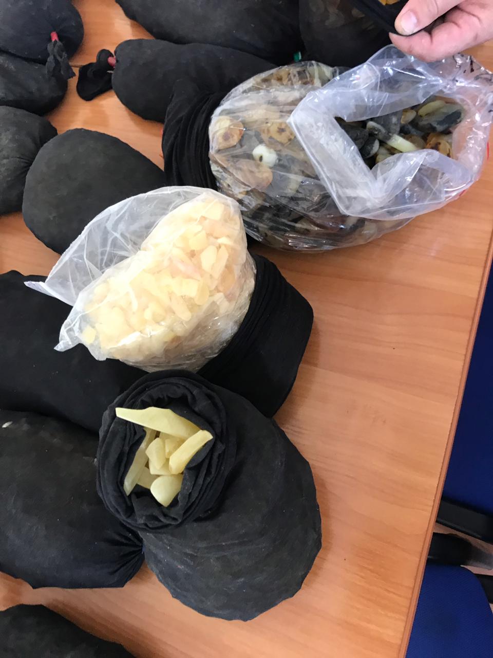 43 кг бурштину нарахували після вилучення каменю з автівки поляка на митниці на Закарпатті (ФОТО)