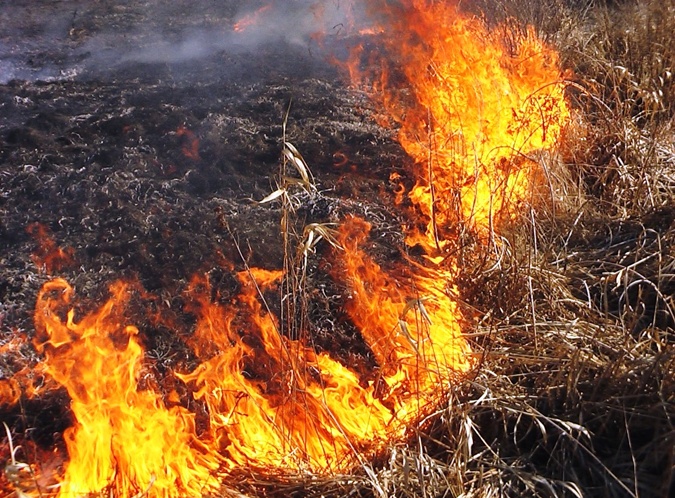 На Тячівщині, спалюючи сміття, чоловік опинився в лікарні з опіками рук та обличчя