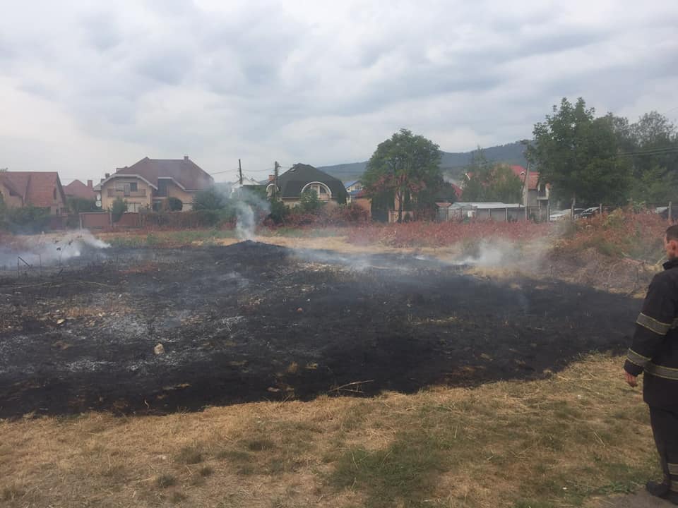 У Мукачеві покарають батьків, чиї діти підпалили траву на подвір'ї школи (ФОТО)
